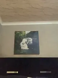 cardibabe stripchat stream image