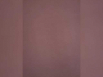 SallyeLeins bongacams stream image