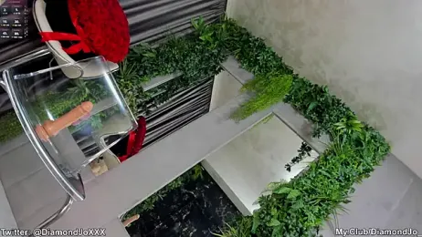 DiamondJo_ stripchat stream image