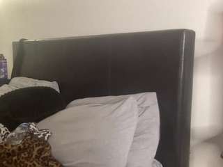 t1ger camsoda stream image