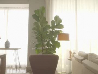 emma_lu1 chaturbate stream image