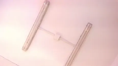 daiana_curly stripchat stream image