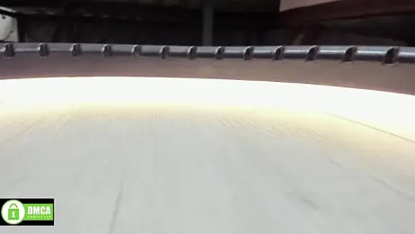 Holy_Silvia stripchat stream image